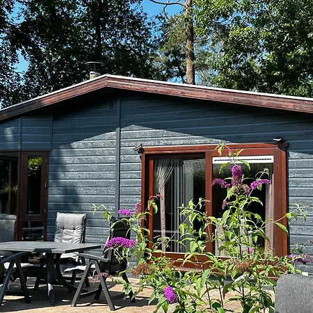 Topparken Veluwe Chalet: Private Garden Retreat In Beekbergen